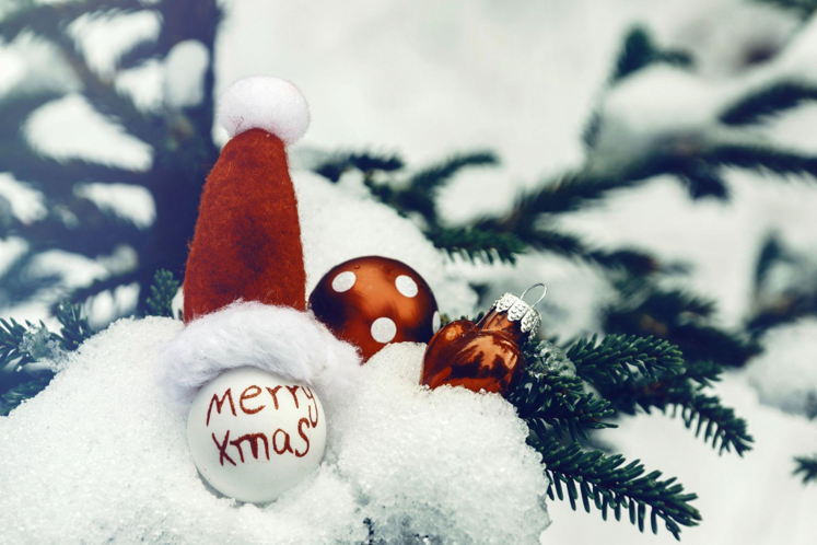Celebrate Christmas in Style with a Farm Wedding Venue in Naples