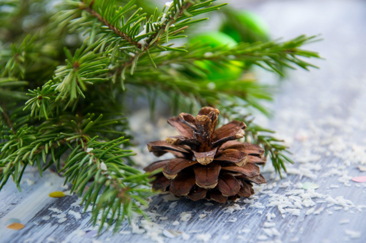 Discover the Best Artificial Christmas Trees for Sale